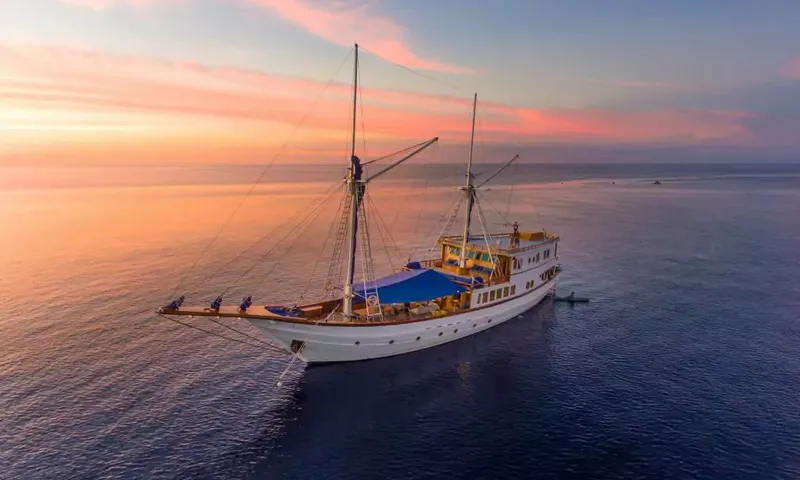 Ocean Pure image 19