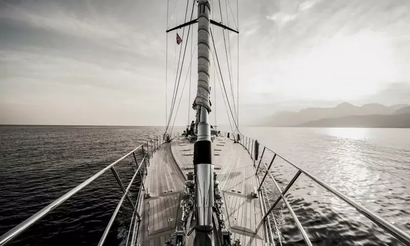 Ocean Pure 2 image 11