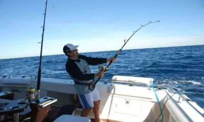 Pisces image 5