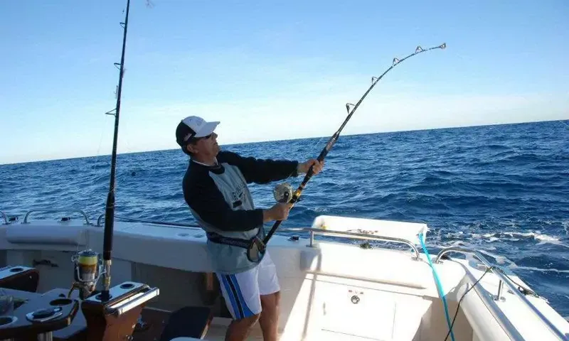 Pisces image 5