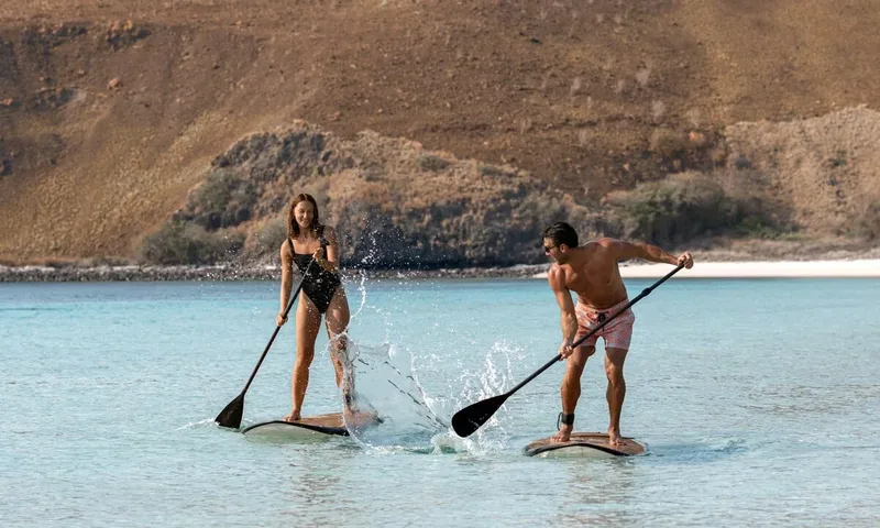 Prana image 22