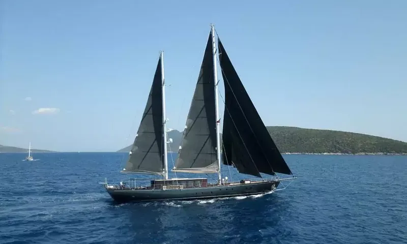 Rox Star image 23