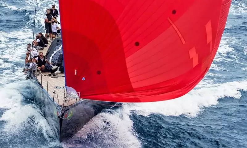 Seahawk image 1