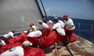 Seahawk image 4