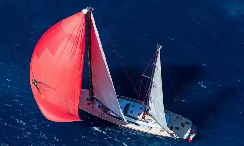 Seahawk image 5