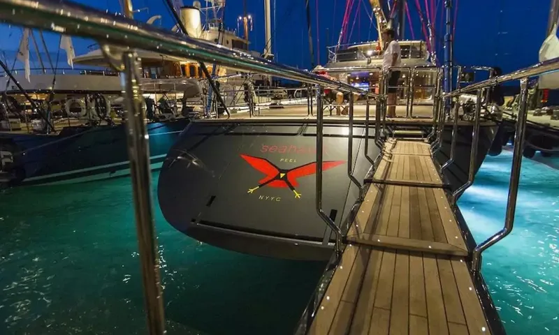 Seahawk image 23