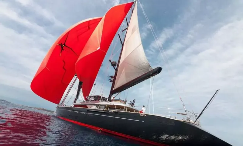 Seahawk image 25