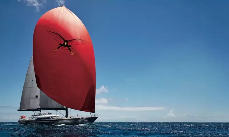 Seahawk image 30