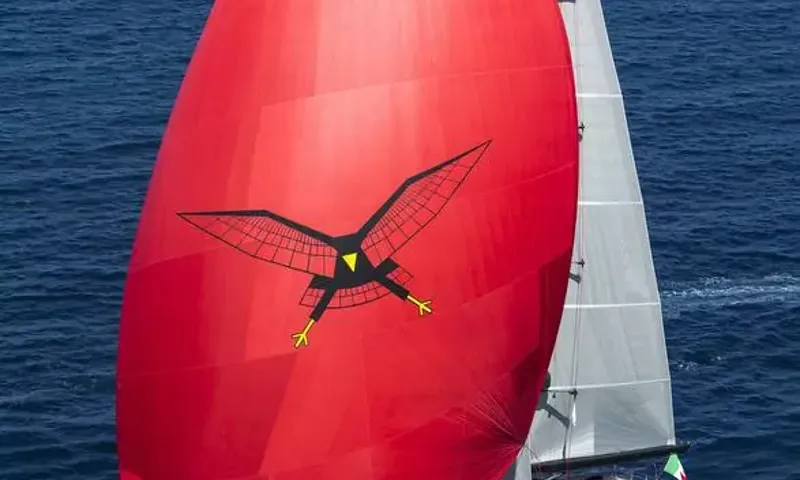 Seahawk image 33