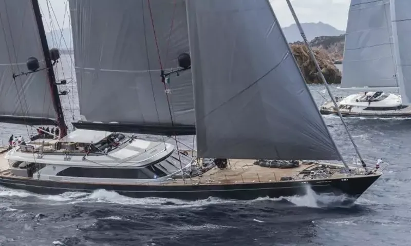 Seahawk image 105