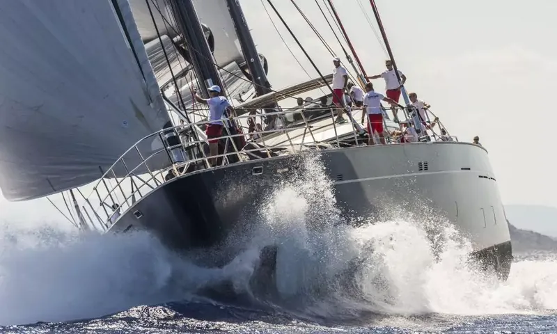 Seahawk image 106
