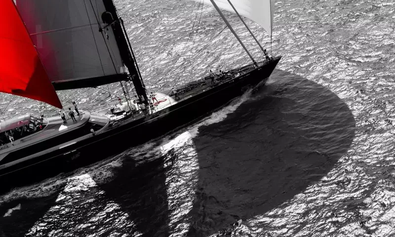 Seahawk image 110