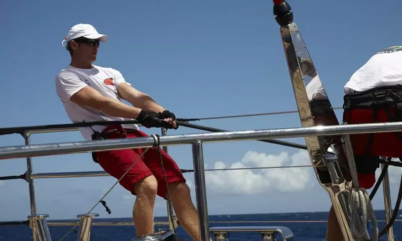Seahawk image 112