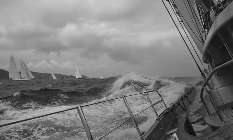 Seahawk image 114
