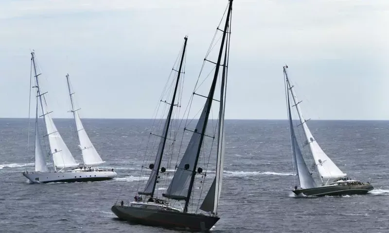 Seahawk image 123