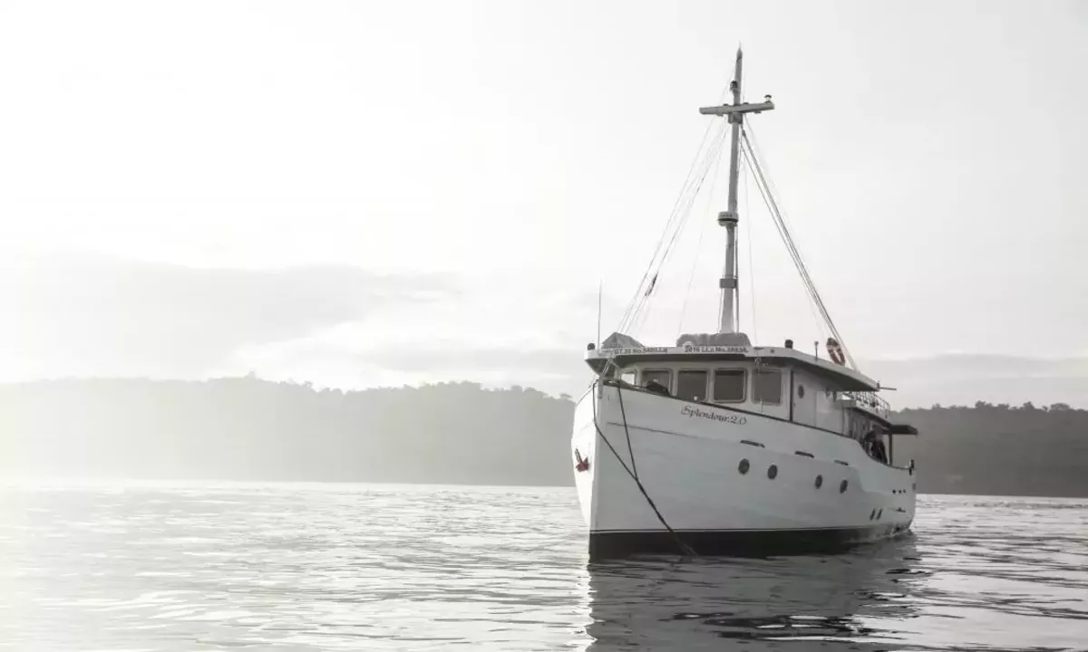 Splendour main image