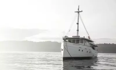 Splendour thumbnail