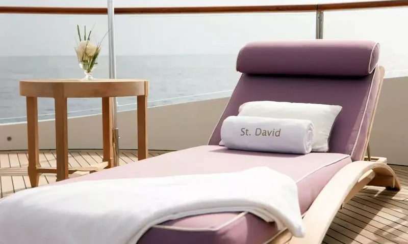 St David – Bild 19