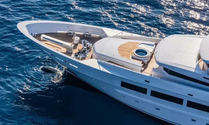 Suerte: Overhead view of the bow with foredeck lounge and a round deck jacuzzi