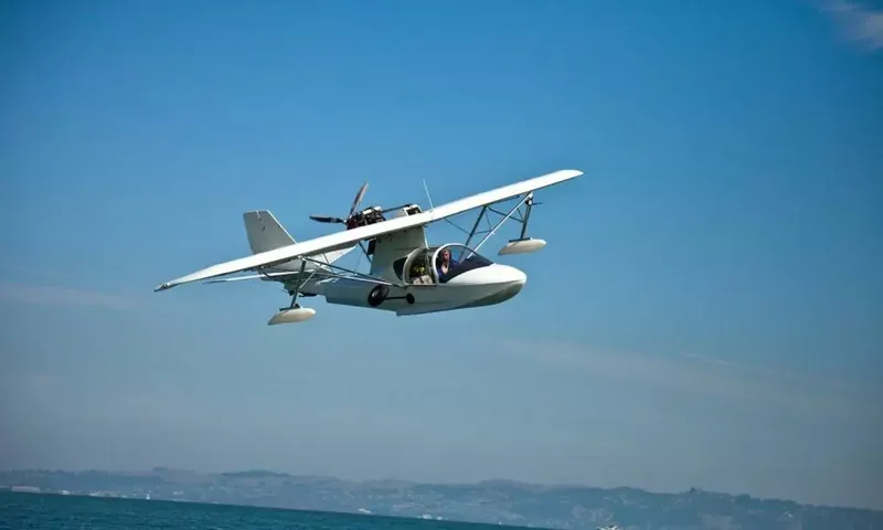 Suri image 6