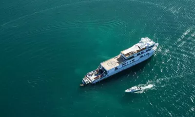 Suri image 3