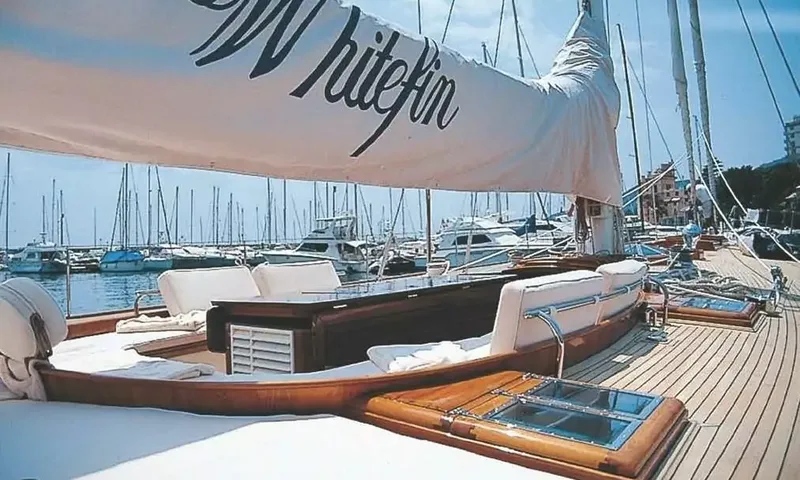 White image 35