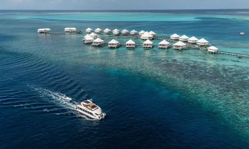 Over Reef – Bild 2