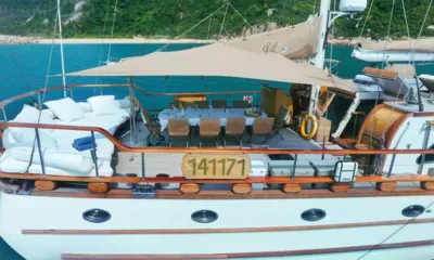 Lady Lorraine image 5