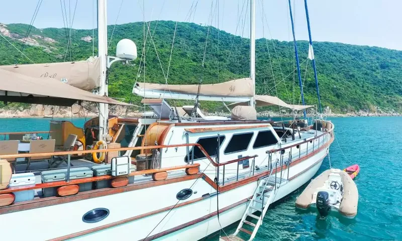 Lady Lorraine image 6