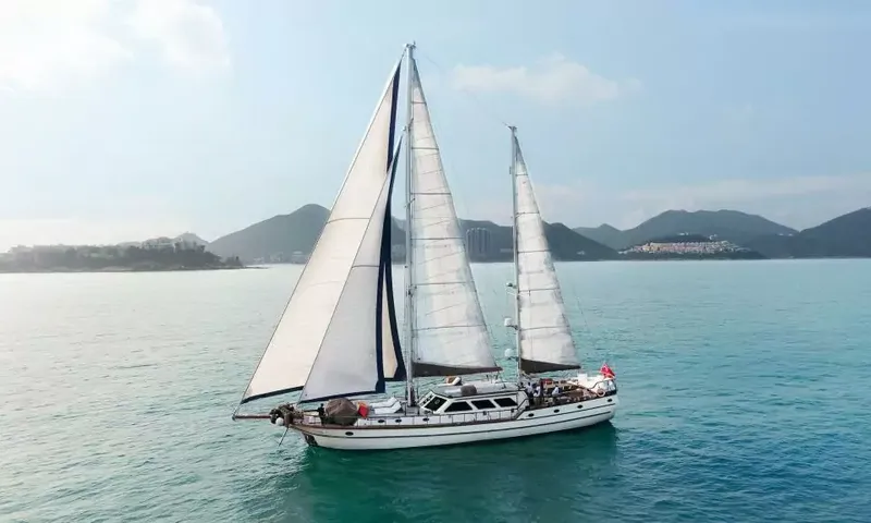 Lady Lorraine image 7