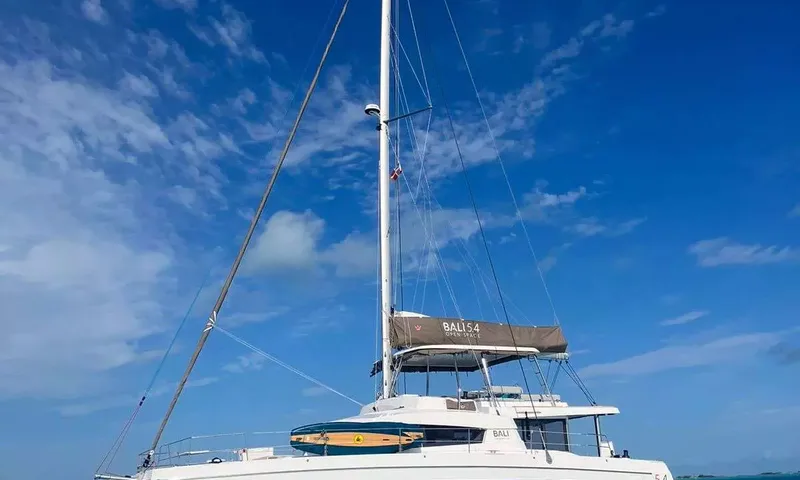 Nauti Dogs image 12