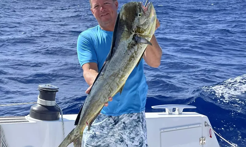 Nauti Dogs image 13
