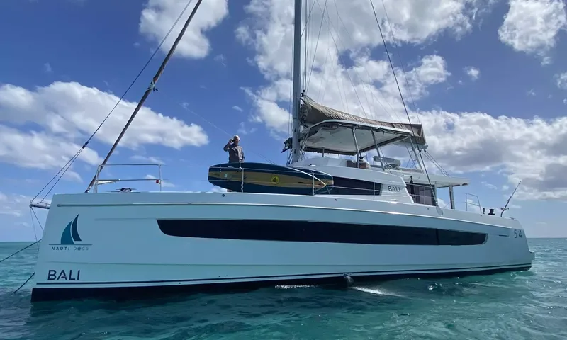 Nauti Dogs image 1