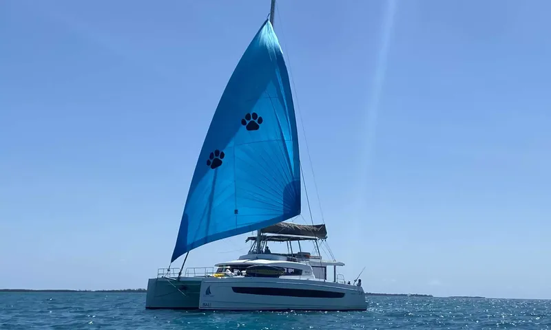 Nauti Dogs image 9