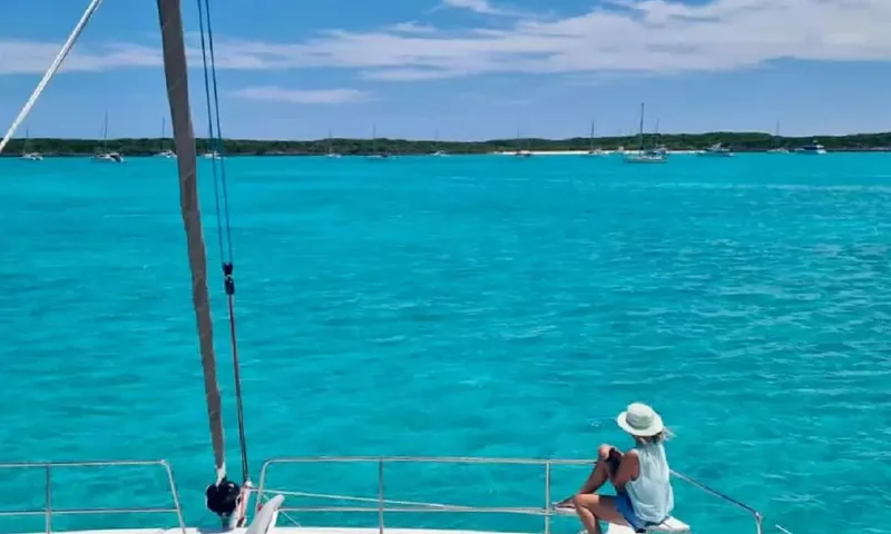 Nauti Dogs image 8