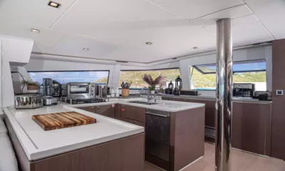 Nauti Dogs image 5
