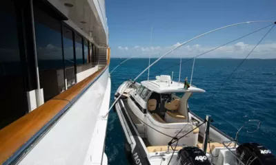 Pure Bliss image 5