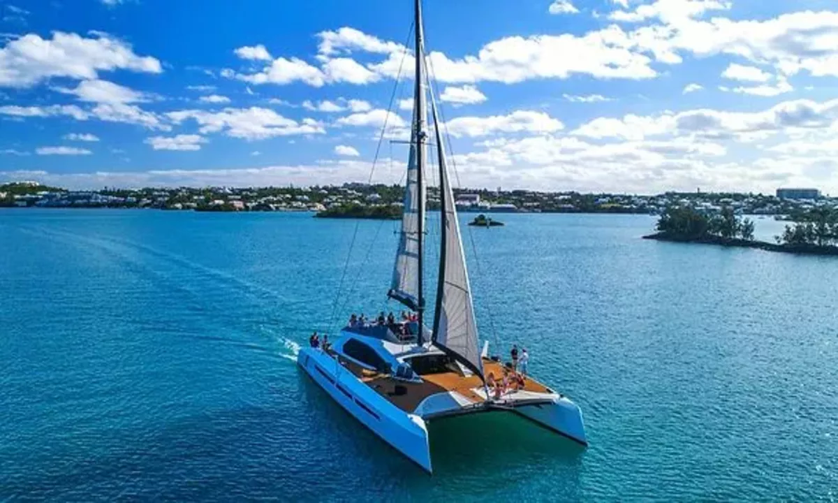 Party Bermuda main image