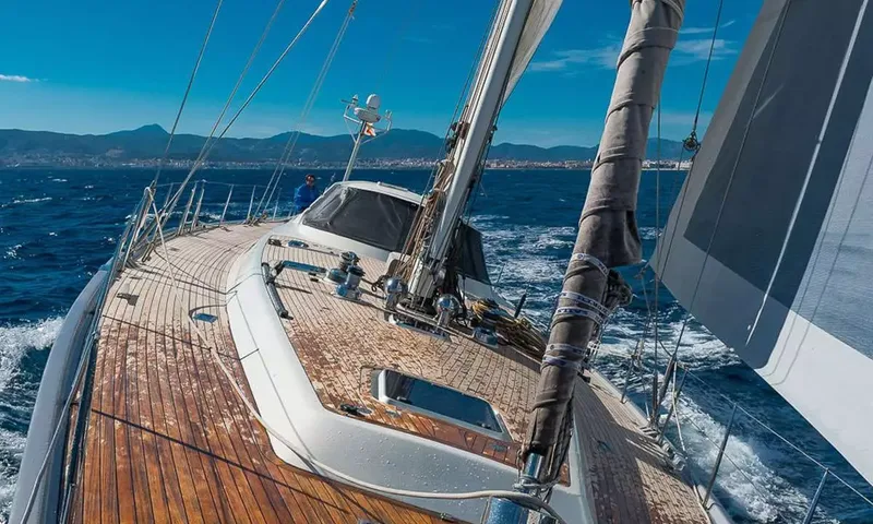 Ocean Phoenix image 10