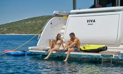Viva image 4