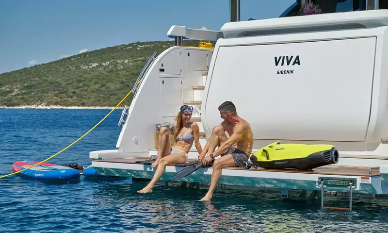 Viva image 4