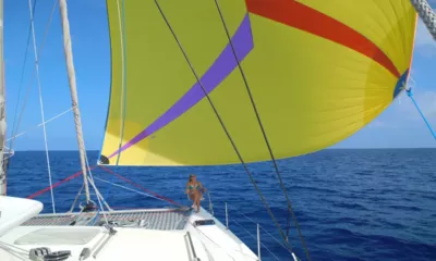 Quixotic image 3