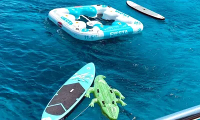 All we need: Ilha flutuante inflável, duas pranchas de stand up paddle e uma boia de crocodilo em água turquesa