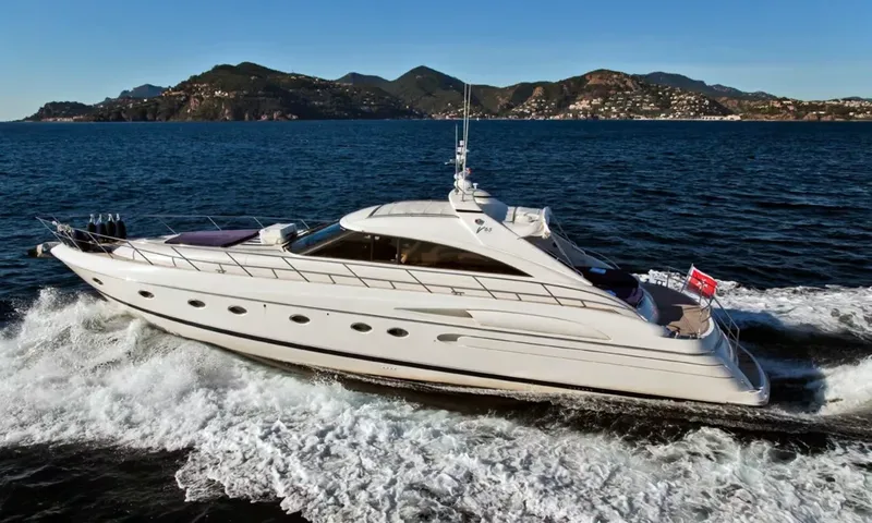 Carla D'Or image 1