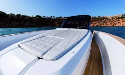 Paloma I image 5