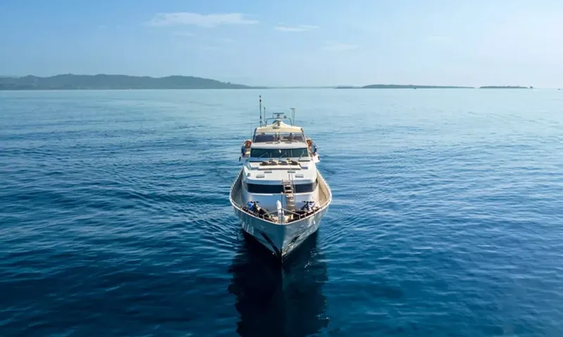Sunliner X image 18
