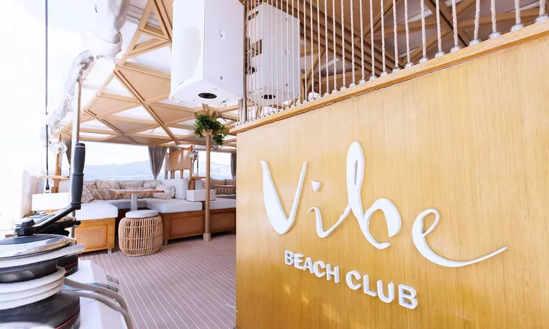Vibe 画像 17