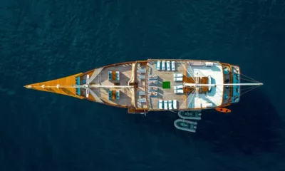 Maj Oceanic image 3