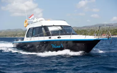 Rhino I by Custom Made – Private Power Boat Charter in Bali
