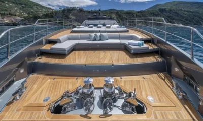 Maximus image 3